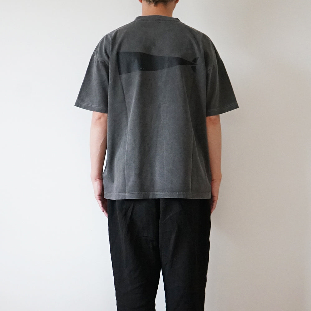DESCENDANT - CACHALOT ORGANIC COTTON SS PIGMENT DYE